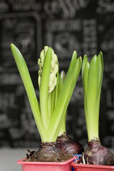 Similar image 21346064