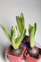 Similar image 21346065