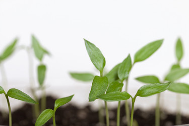 Similar image 21346068