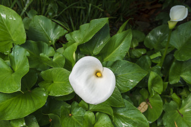 Similar image 21346097