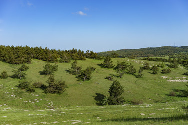 Similar image 21346103