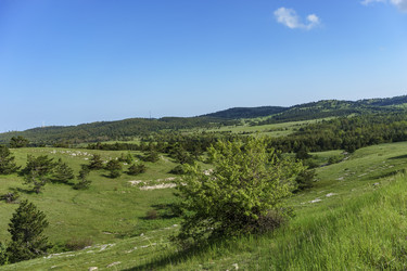 Similar image 21346104