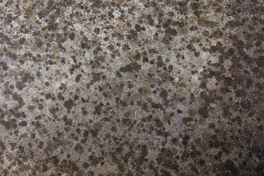 Similar image 21346640