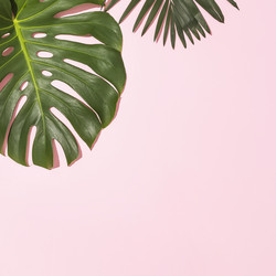 Similar image 21346642