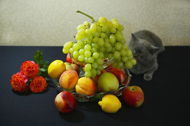 Similar image 21347750