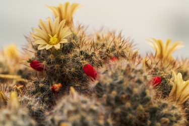 Similar image 21346382