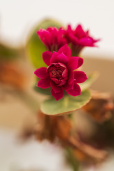 Similar image 21346385