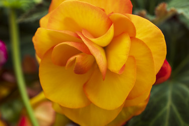 Similar image 21346387