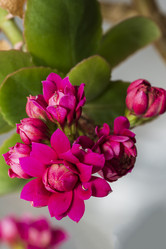 Similar image 21346390