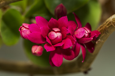 Similar image 21346391