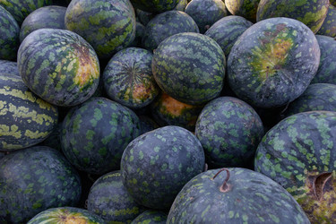 Similar image 21346392