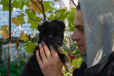 Similar image 21346400