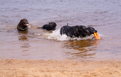 Similar image 21349218