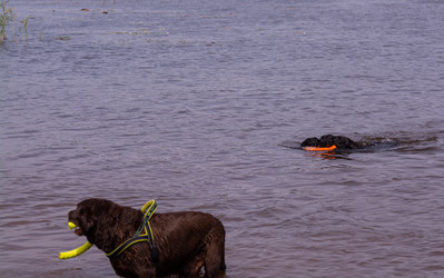 Similar image 21349220