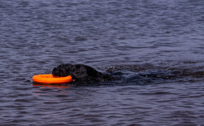 Similar image 21349221