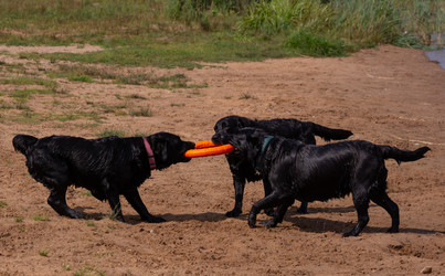 Similar image 21349222