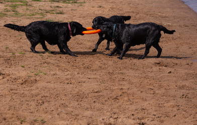 Similar image 21349223