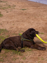 Similar image 21349224