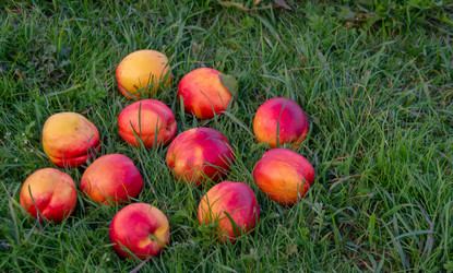 Similar image 21348177