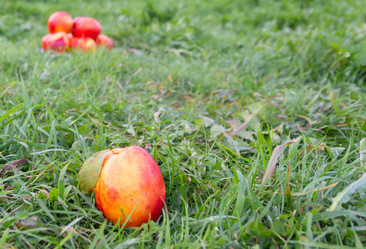 Similar image 21348179