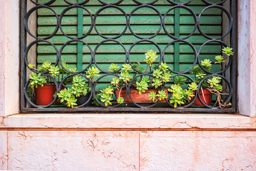 Similar image 21346311