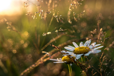 Similar image 21346405