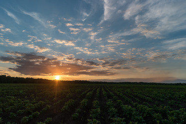 Similar image 21346406