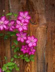 Similar image 21346411