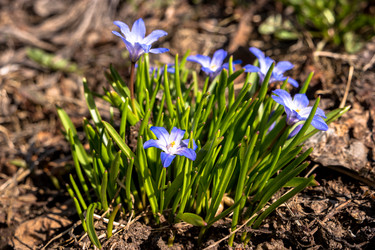 Similar image 21347122