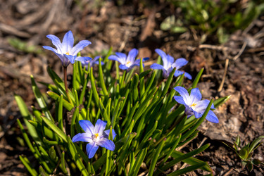 Similar image 21347123