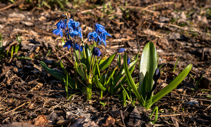 Similar image 21347124