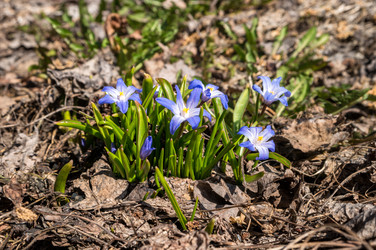 Similar image 21347125