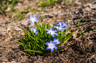 Similar image 21347126