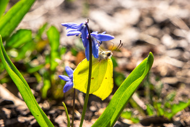 Similar image 21347127