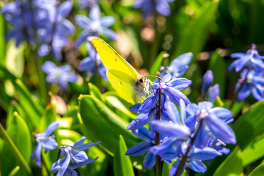 Similar image 21347128