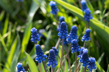 Similar image 21347129