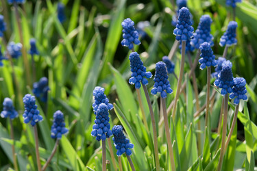 Similar image 21347130