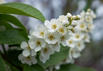 Similar image 21347131