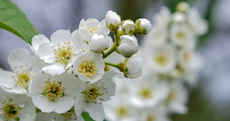 Similar image 21347133