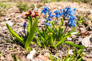 Similar image 21347134