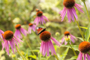 Similar image 21346108