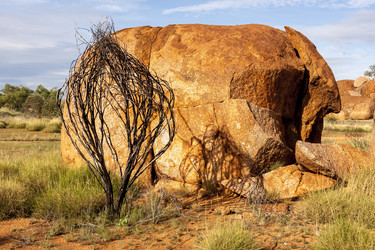 Similar image 21346111