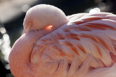 Similar image 21346117