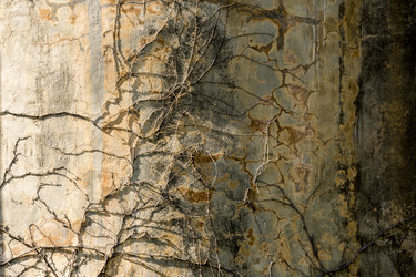 Similar image 21346127