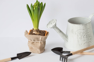 Similar image 21346889