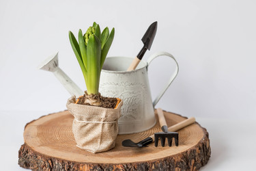 Similar image 21346890