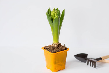 Similar image 21346892