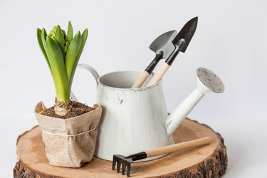 Similar image 21346894