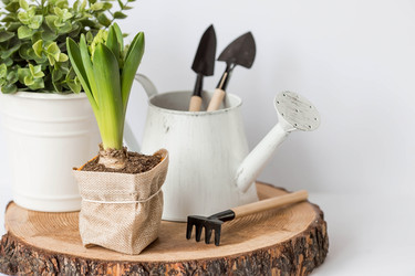 Similar image 21346150