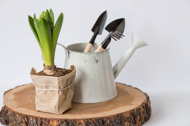 Similar image 21346896